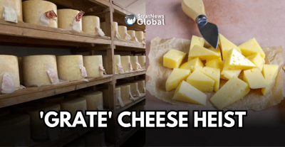 Stealing £300k worth of cloth wrapped cheddar
